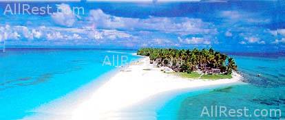 Alegre Beach Resort 9